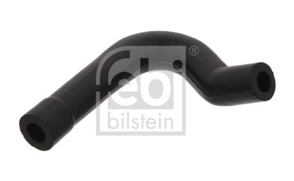 Hose, crankcase ventilation